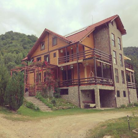 Cabana Soarelui Retezat Nucsoara  Exteriör bild