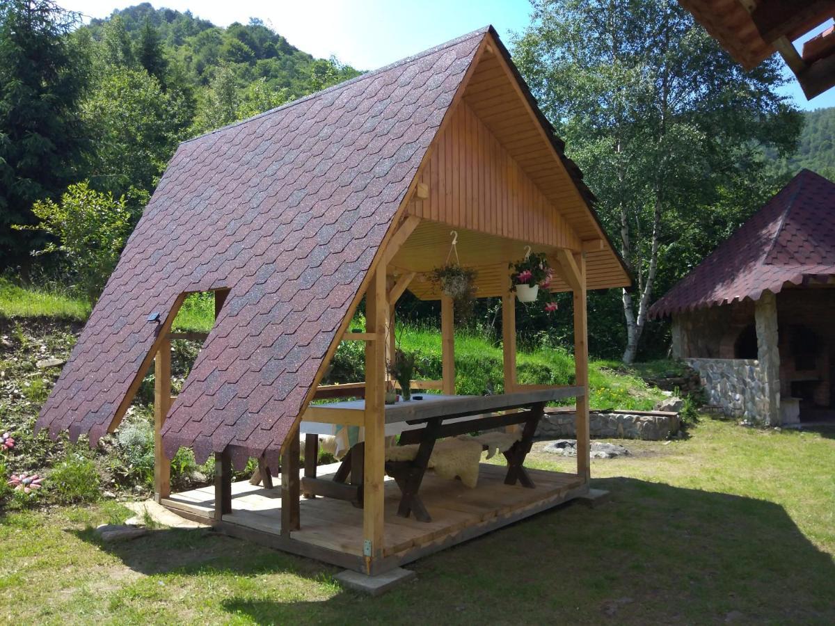 Cabana Soarelui Retezat Nucsoara  Exteriör bild