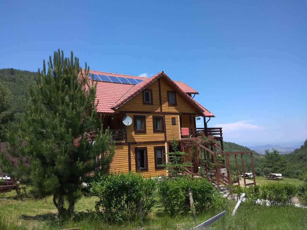 Cabana Soarelui Retezat Nucsoara  Exteriör bild