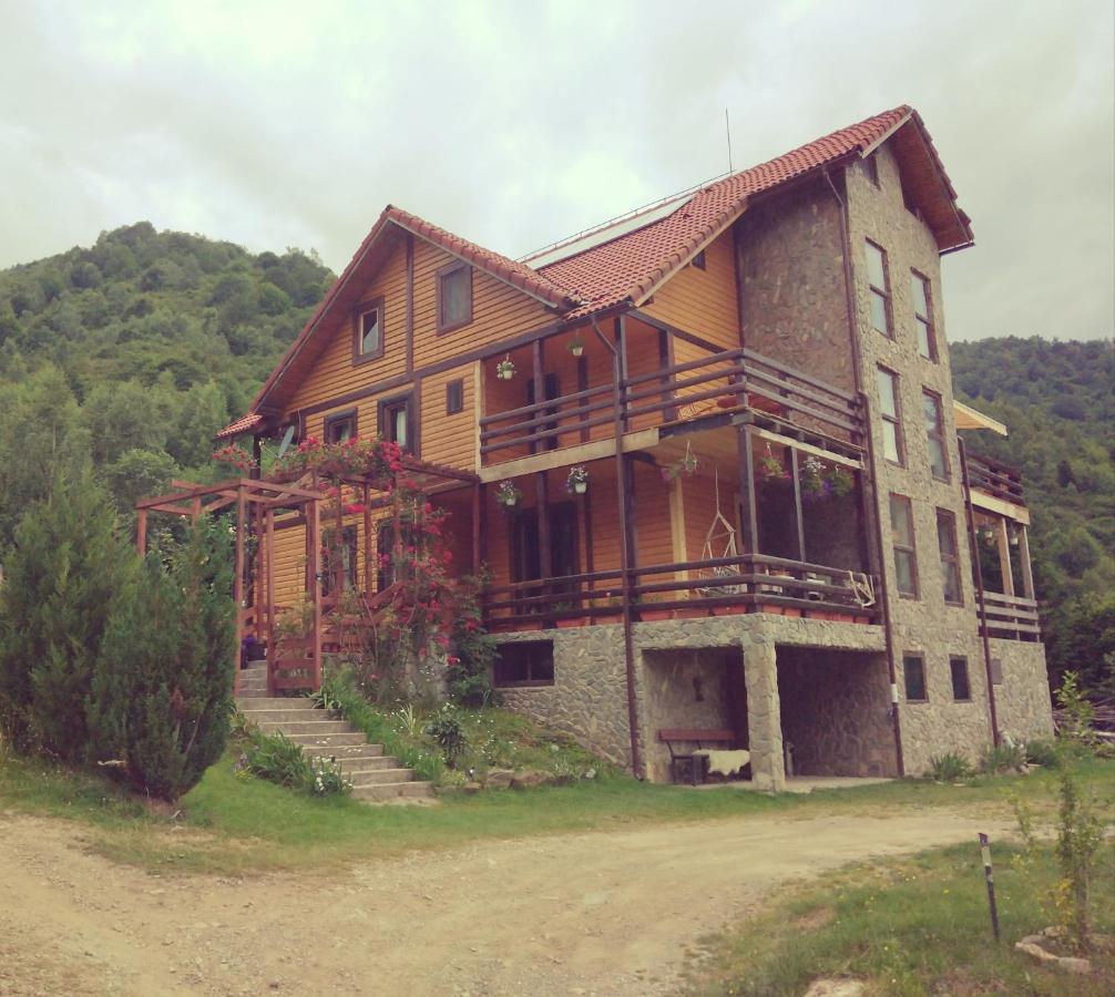 Cabana Soarelui Retezat Nucsoara  Exteriör bild
