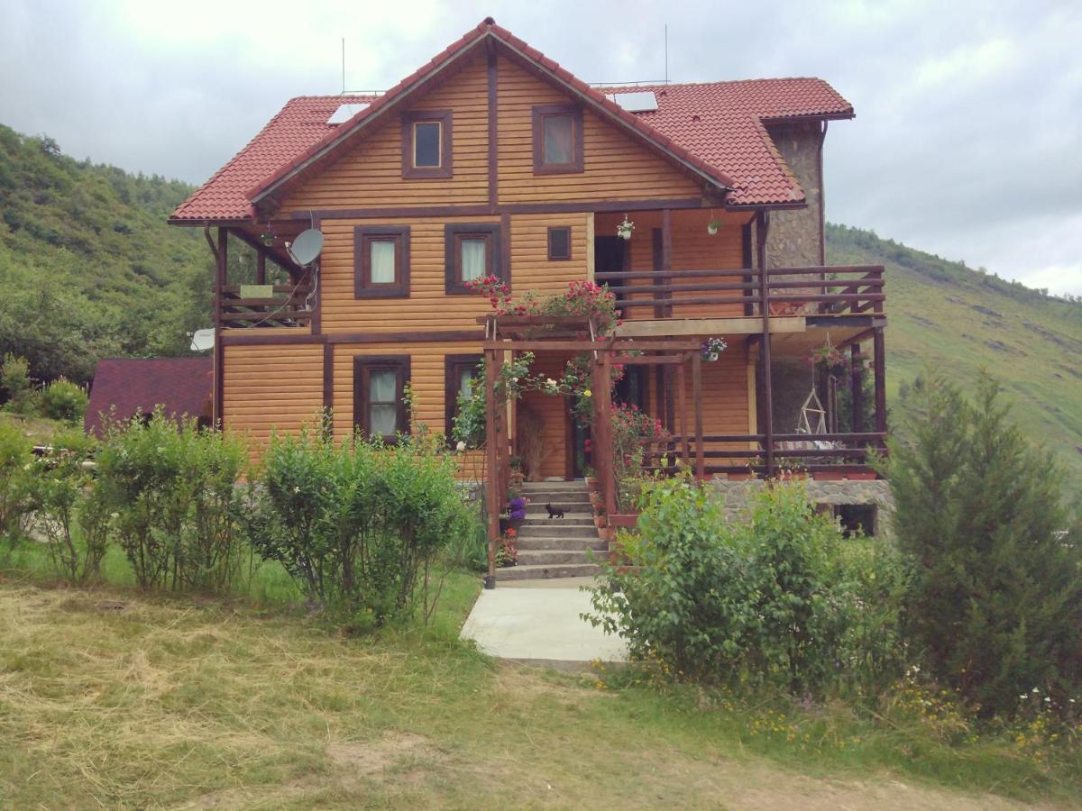 Cabana Soarelui Retezat Nucsoara  Exteriör bild